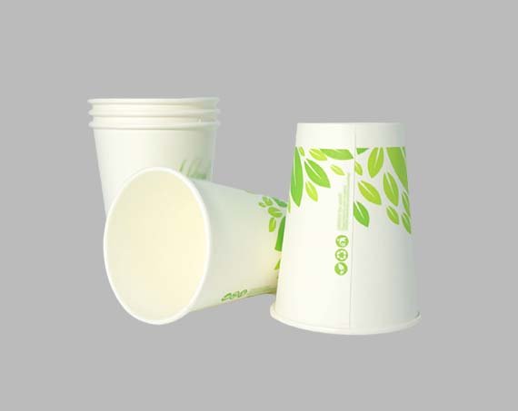 Biodegradable Paper cup