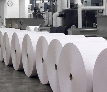 pe coated white paper roll